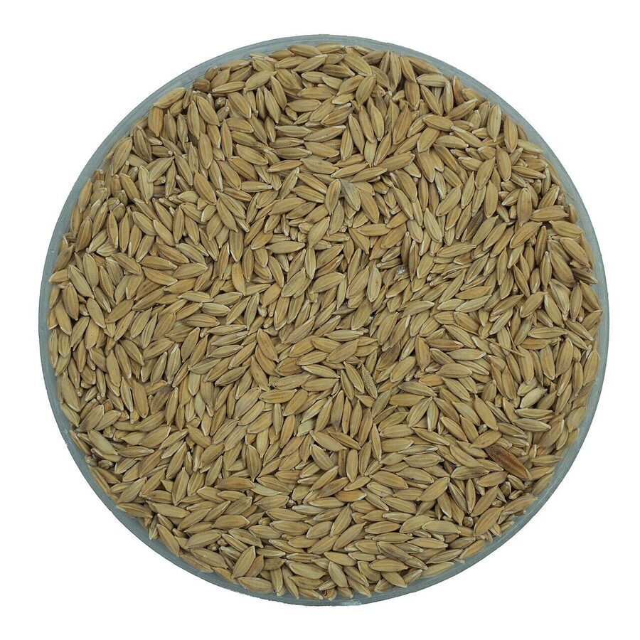 Kalonunia (Kalo Nunia) Rice