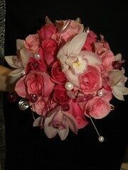 Cymbidium Orchids (potted plants and cut flowers)