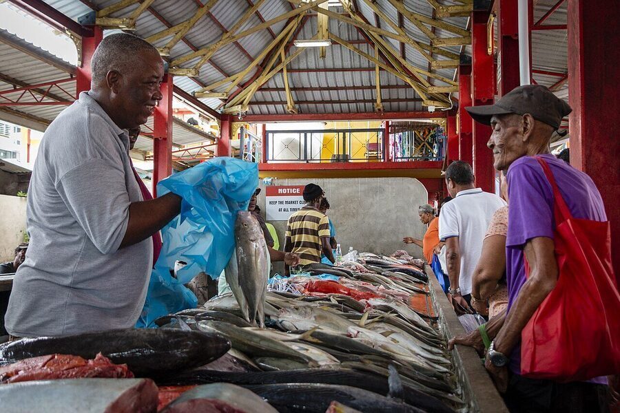 Fresh fish from the Howrah wholesale fish market