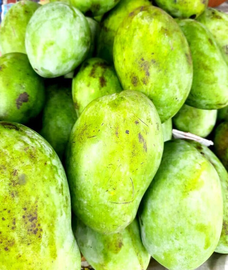 Malda Fazli Mango