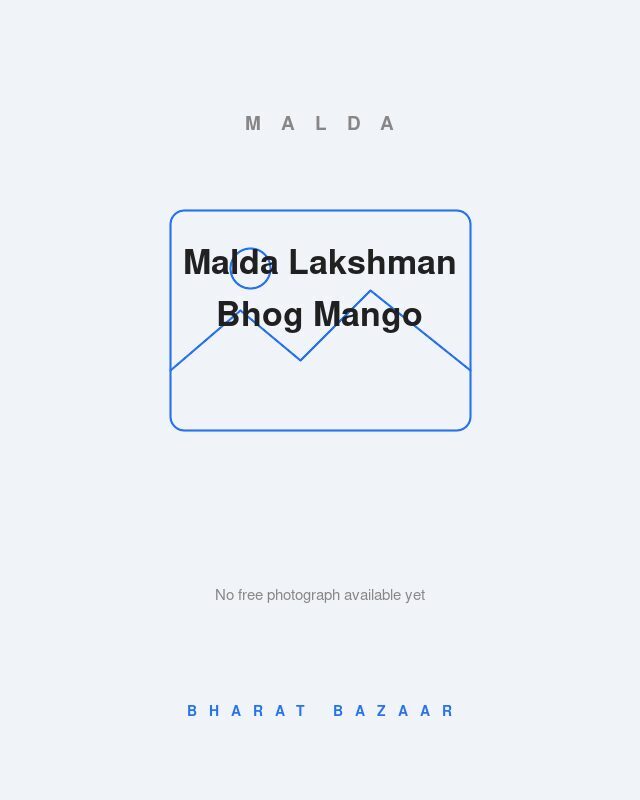 Malda Lakshman Bhog Mango