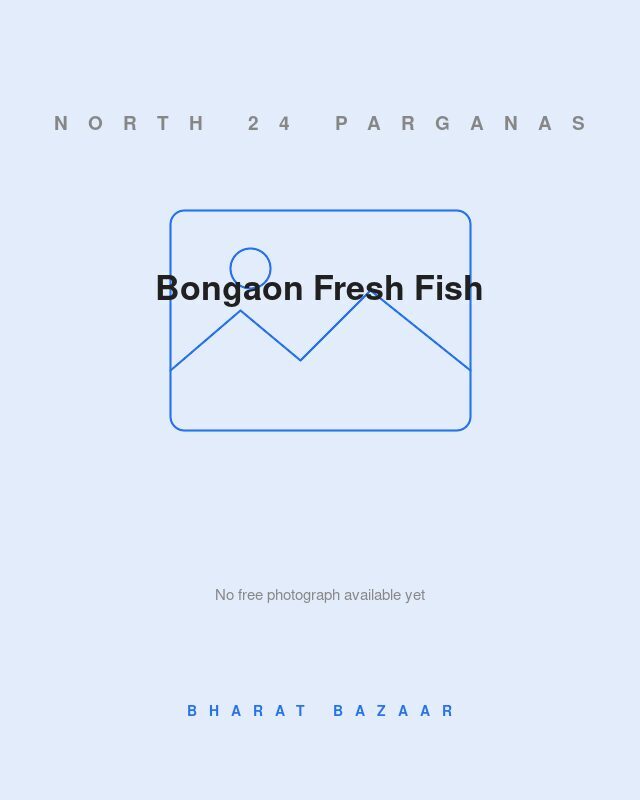 Bongaon Fresh Fish (Bongaon Fish Market Catch)