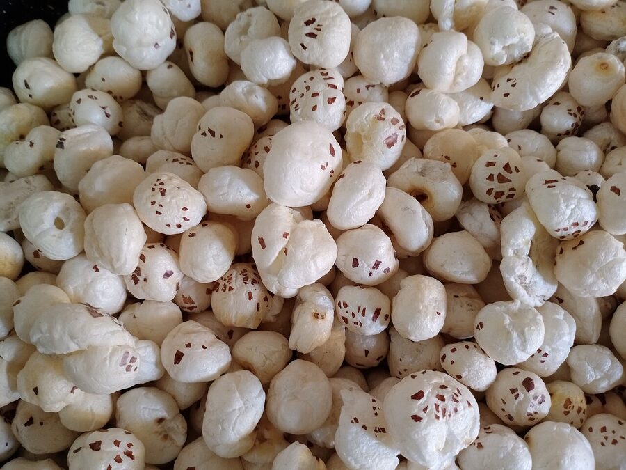 Makhana (Fox Nut)